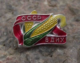 Moscow All Russian Exhibition Centre Bahx Museum Corn Maize Farming Pin Badge