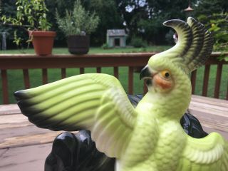 Vintage Maddux of California Cockatoo Flying Parrot TV Lamp FLA Tropical Tiki 4