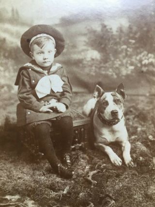 Vintage Dog Cabinet Photo Little Lord Fauntleroy W Large Pit Bull American Bull