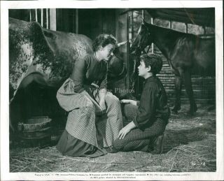 1958 Press Photo Actor Glynis Johns Rex Thompson Cameron Mitchell Celebrity 8x10