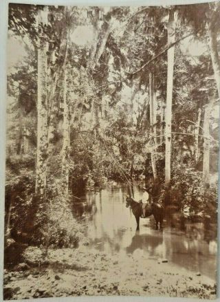 1890s Photo Cuban Farmer Mambises Span Am War J Murray Jordan