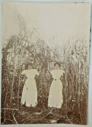 1890s Photo Cuban Two Girls Sugar Cane Cigar Plantation J Murray Jordan