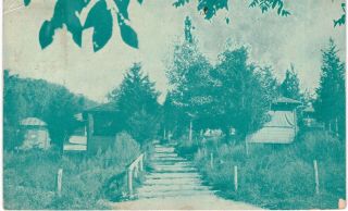 Wingdale Camp Unity Berkshire Path To Bungalows 1940 Ny