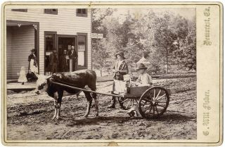 1880s Demorest Georgia Street Scene Boys W/ Calf - Drawn Cart,  Post Office