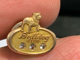 Bulldog Club 3 Diamond 1/10 10k Service Award Pin.