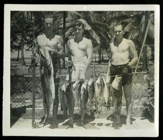 Vintage Photo Shirtless Handsome Men With Spear Fishing Catch Gay Interest 1951