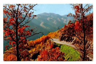 Newfound Gap Highway Autumn Scene Postcard Great Smoky Mountains National Park