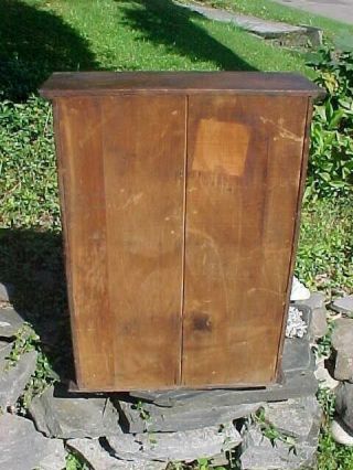 Early 20thc DR DANIELS VETERINARY MEDICINE Store Advertising WALL CABINET 7