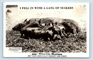 Miles City,  Mt - C1940s Met Cafe Roadside Advertising Rppc - Little Pigs - S4