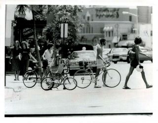 1978 Press Photo Travel Coconut Grove Street Bicycles Vintage Historic 6x8