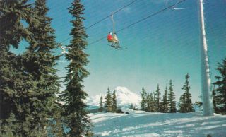 Mt Rainier From White Pass Snow Skiing Washington Postcard 1960 
