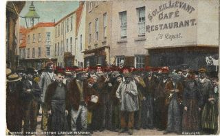 France Potato Trade Breton Labour Market Vintage Postcard 12.  8