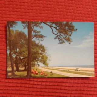 Vintage Postcard Mississippi Gulf Coast,  U.  S.  Highway 90