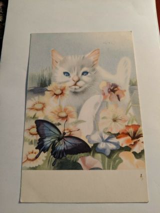 Cat Vintage Postcard.  White Kitten Watching Butterfly.  Pm 1949.  Norwegian.