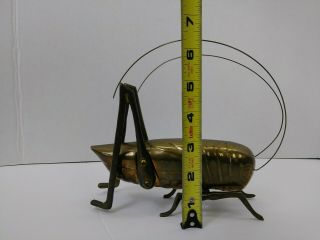 Large Vintage Brass Grasshopper Cricket Insects Taiwan 6 Inch 1 lb.  14 oz. 4