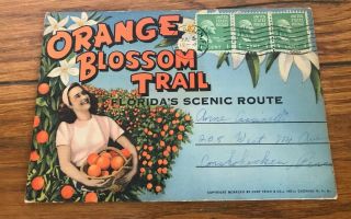 Orange Blossom Trail Florida 