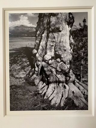 Ansel Adams Signed Gelatin Silver Photograph " Tuolumne Meadows "