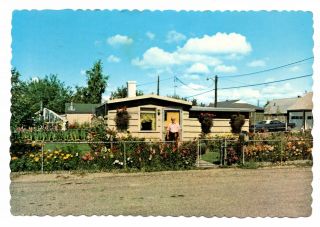 Fairbanks Alaska Vintage Postcard Land Of Ice And Snow Flowers House Joe 1975