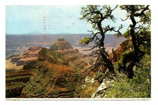 Grand Canyon From Cape Royal Postcard Arizona Monument To The Ages Vintage