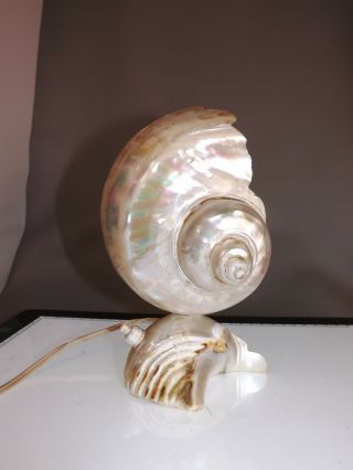Art Nouveau Nautilus Sea Shell Table Lamp Night Light Pearlescent Vtg