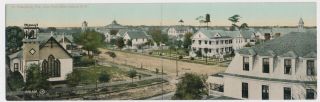Fl 1900’s Rare Double Size Florida View From Post Office At St.  Petersburg,  Fla