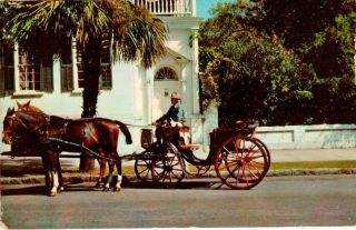 Carriage Taxi,  Charleston,  South Carolina Postcard - Posted 19?2