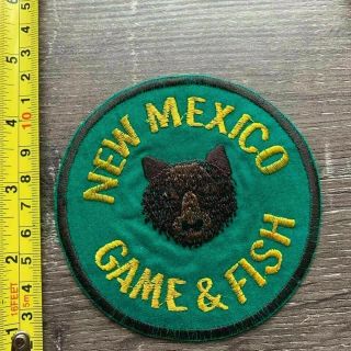 Patch,  Mexico,  Fish And Game Wildlife,  Being