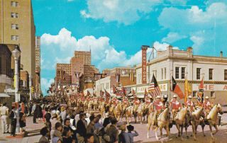 Stock Show Rodeo Parade Fort Worth Texas Postcard 1950 