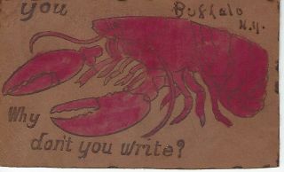 Leather Novelty Postcard 1905 Red Lobster Buffalo Ny - - Why Dont You Write?