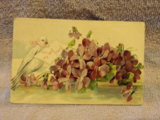 Vintage Postcard To My Best Friend,  Dove And Purple Flowers
