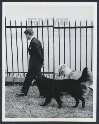 1964 Robert F.  Kennedy,  Poignant " Walking With Companions " Vintage Photo