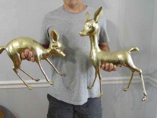Vtg X - Large Mid Century Hollywood Regency Brass Deer Bambi Doe Fawn