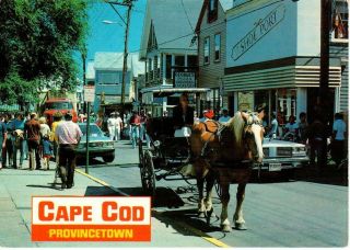 Cape Cod,  Provincetown,  Mass Postcard - Unposted