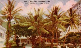 Banyan Tree And Cocoanut Palms Moana Hotel Honolulu,  Hawaii Postcard - Unposted