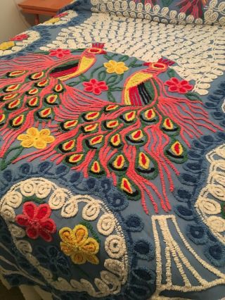 Vintage 1930’s Handmade Chenille Peacock Bedspread.  Full/Queen Size 90”x96” 3