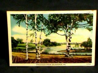Greetings From Pa P.  C: Zelienople,  Farm Land Near River 1948