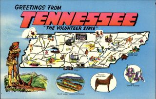 Greetings From Tennessee State Map Iris Flower Horse Incline Railway 1960s