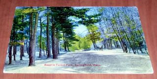 Antique Postcard " Road In Forest Park,  Springfield,  Mass " - 27772