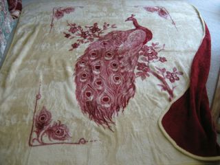 San Marcos Blanket Of A Peacock 87 X 92 With Tag Huge And Rare