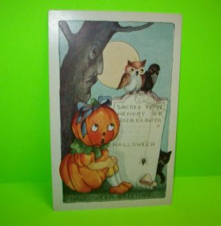 Vintage Halloween Postcard Whitney Haunted Tree With Face Goblin Black Cat Owl