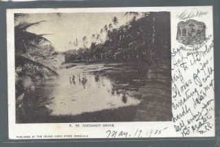 1905 Hawaii Post Card - Cocoanut Grove - Honolulu