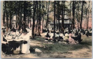Sandusky,  Ohio Postcard Grove At Cedar Point Picnic Scene Hand - Colored 1910s