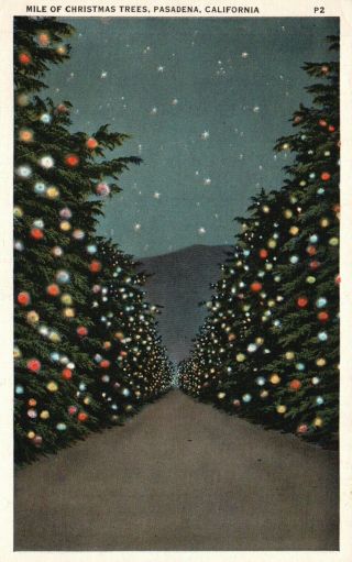 Pasadena,  California,  Ca,  Mile Of Christmas Trees,  Vintage Postcard G3761