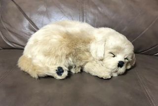 Vtg Realistic Simulation Sleeping Dog Figure Lab Fur Unique Animal Perfect Petzz