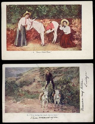 1906 & 1907 2 Old Deeply Embossed Donkey Postcards With Great Colors Pc413