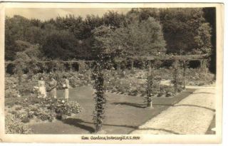 1948 - Rose Gardens,  Invercargill,  Zealand,  (3447)