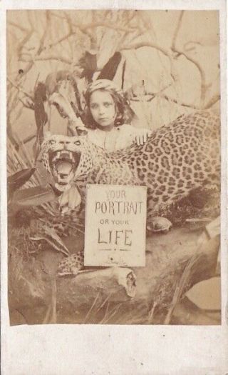 Carte De Visite Cdv Vintage Album Opener Unusual Bobcat Girl