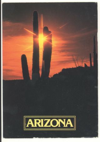 Vintage Postcard Arizona Sunset Saguaro Cactus Tempe Phoenix 100 Degrees