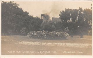 D46/ Springfield Minnesota Mn Rppc Postcard 1912 River Side Park Flower Beds 2