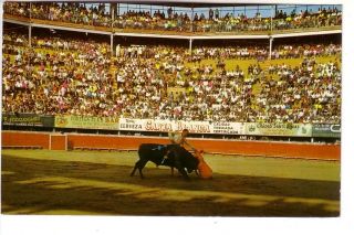 Action At El Toreo De Tijuana Bull Ring,  Tijuana,  Mexico